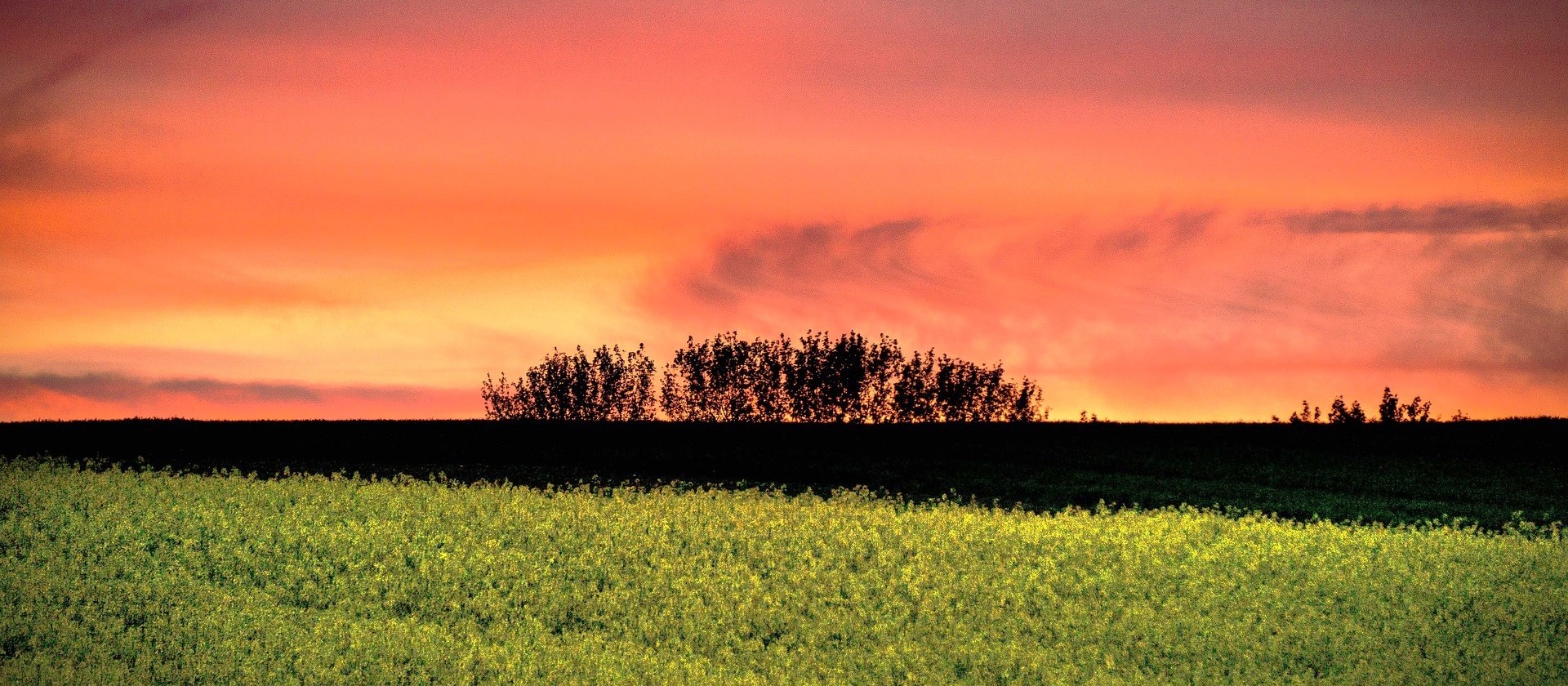 burgenland landschaft österreich